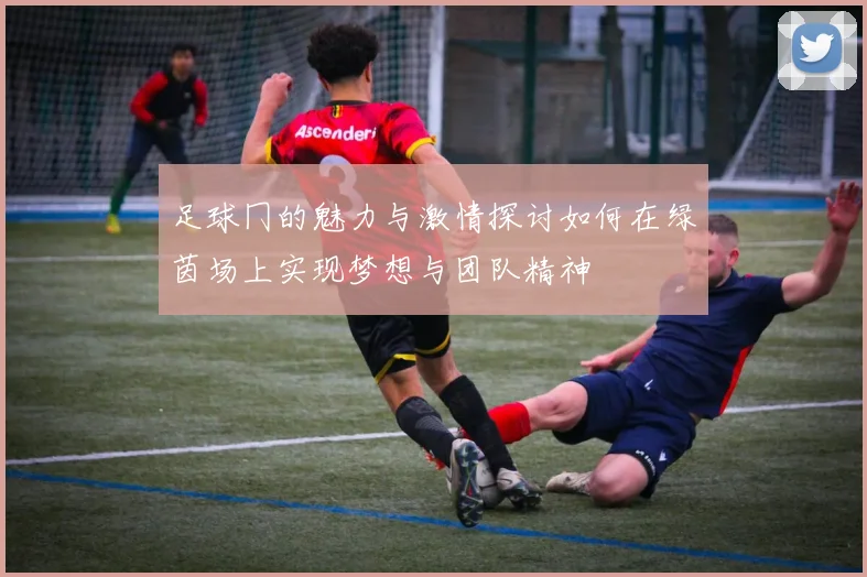 足球冂的魅力与激情探讨如何在绿茵场上实现梦想与团队精神