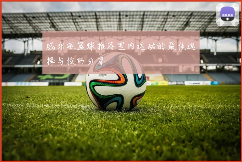 威尔逊篮球推荐室内运动的最佳选择与技巧分享