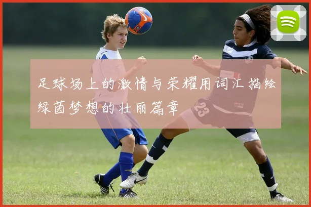 足球场上的激情与荣耀用词汇描绘绿茵梦想的壮丽篇章